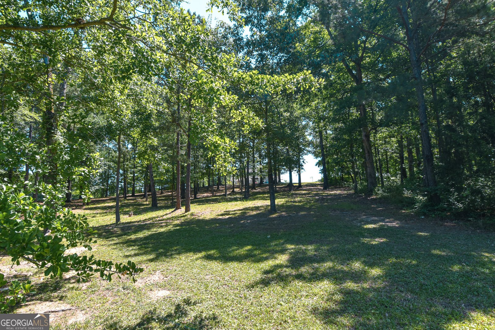 345 Huff Creek Rd Williamson - Photo 111