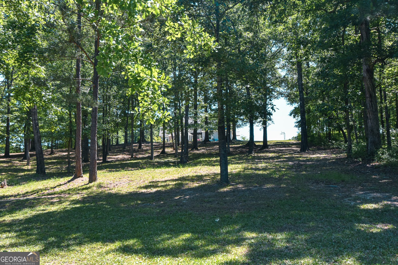 345 Huff Creek Rd Williamson - Photo 112