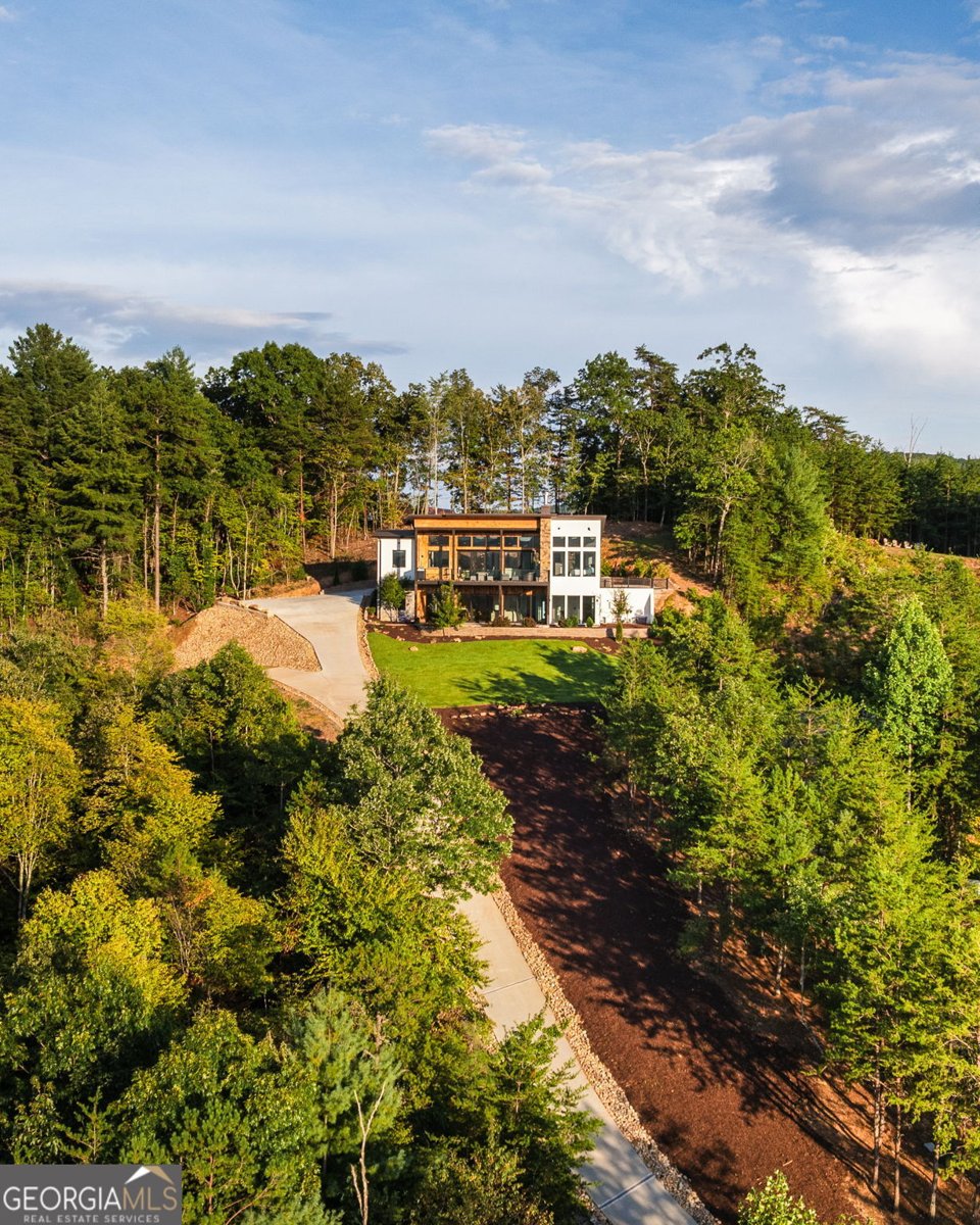 251 Angel Heart Lane Mineral Bluff - Photo 24