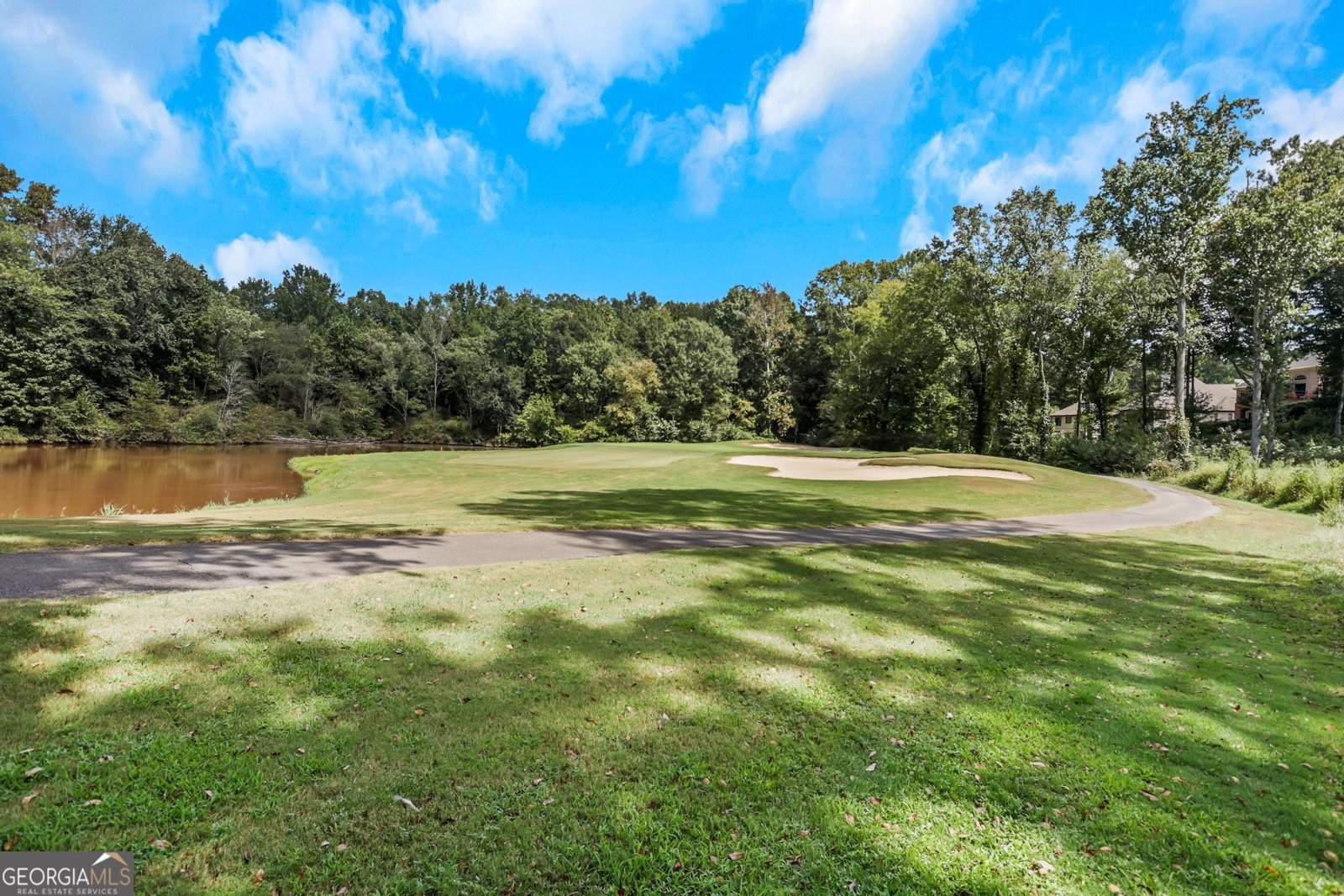 6815 Sunbriar Drive Cumming - Photo 72