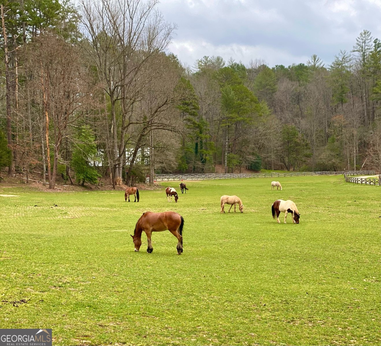 3622 Sandy Ford Road Clayton - Photo 6