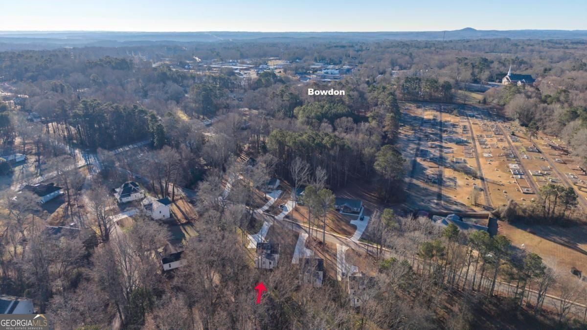 485 West Avenue Bowdon - Photo 41