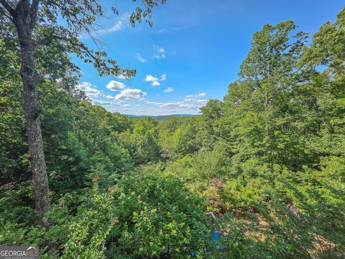 120 Sunrock Mountain Trace Blue Ridge - Photo 53