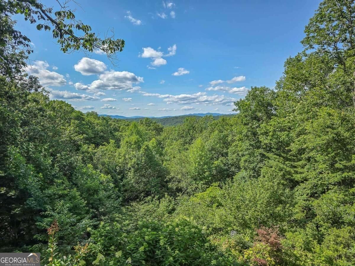 120 Sunrock Mountain Trace Blue Ridge - Photo 54