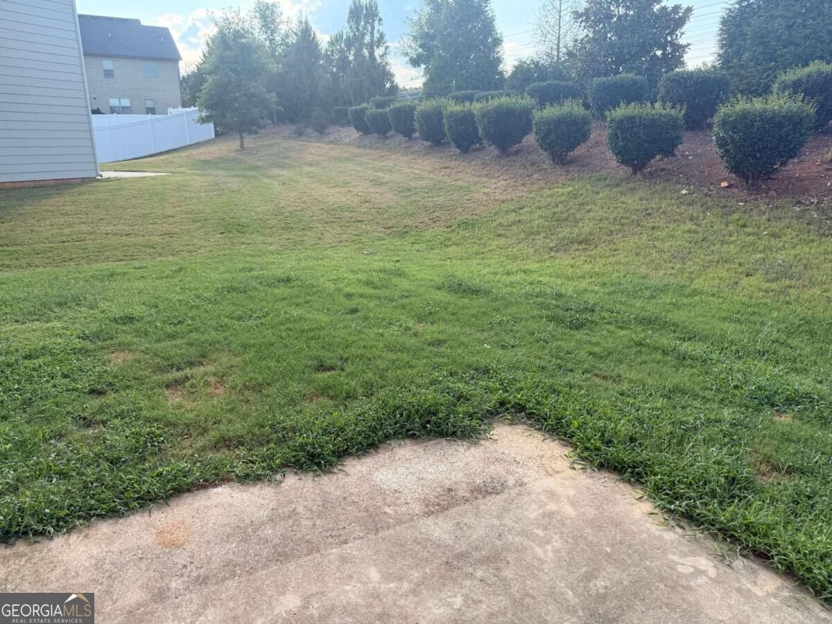 280 Paulownia Circle Mcdonough - Photo 19