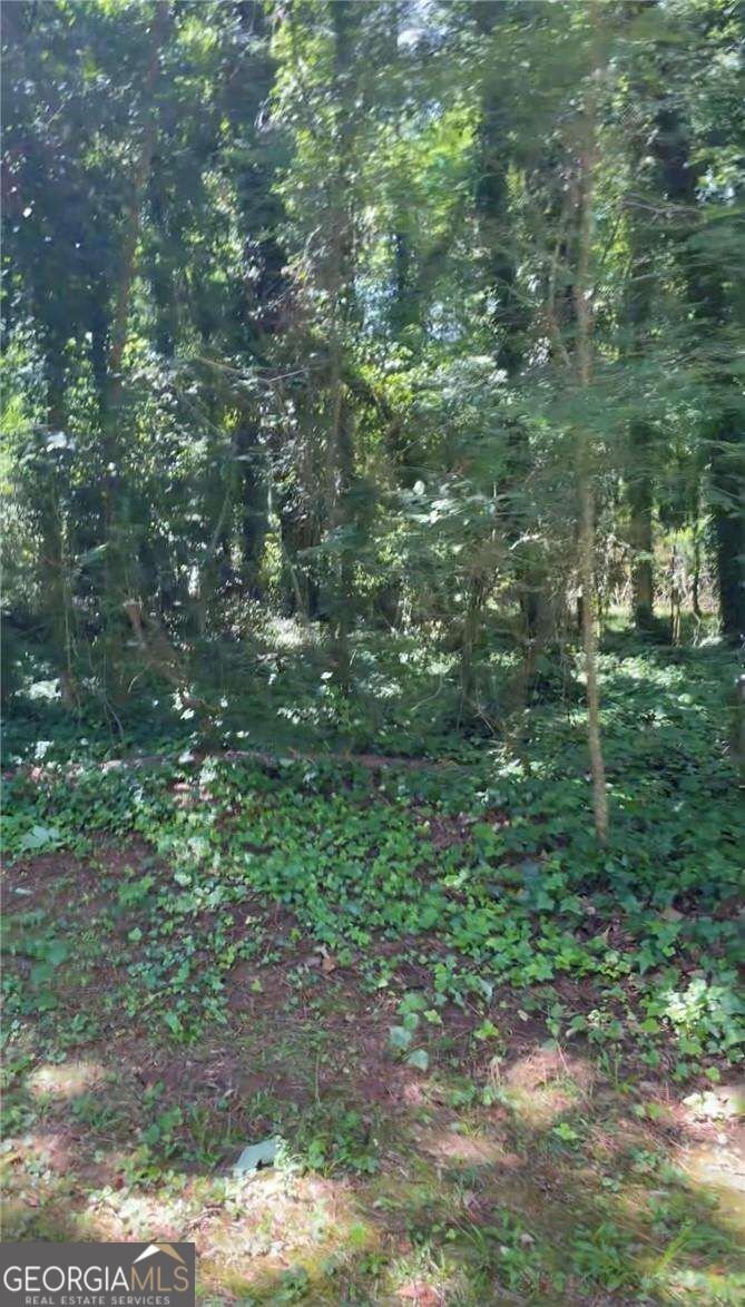 3300 Cascade Road Atlanta - Photo 9