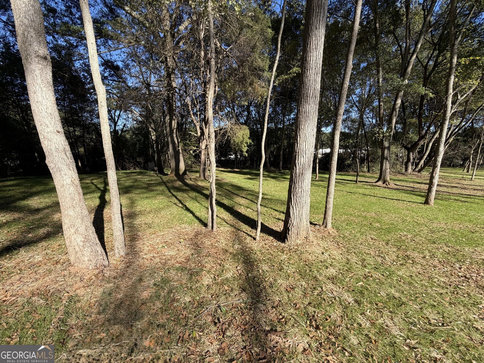 126 Holders Siding Road Jefferson - Photo 33