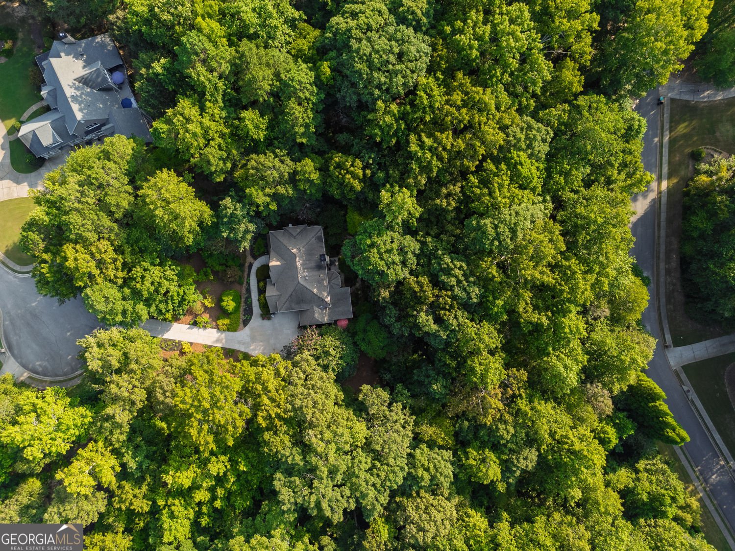 155 Willow Oak Lane Dawsonville - Photo 81