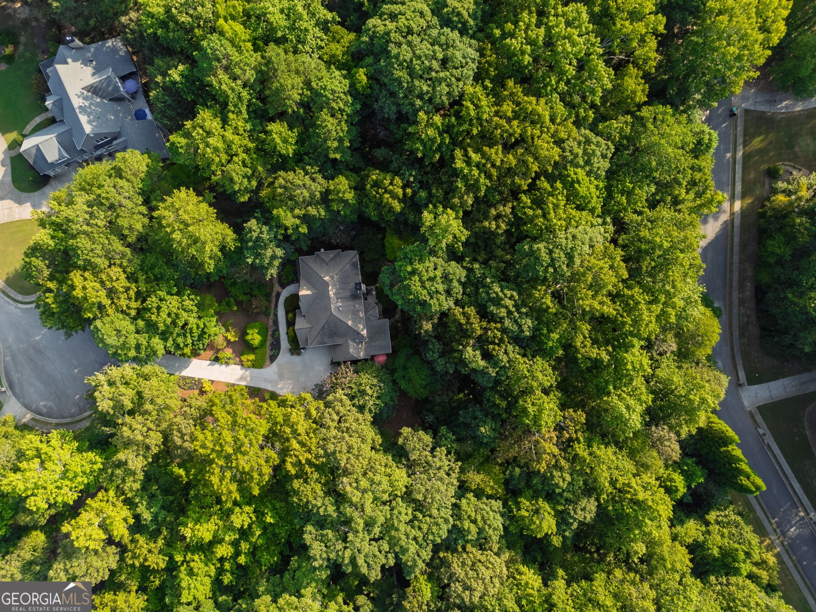155 Willow Oak Lane Dawsonville - Photo 88