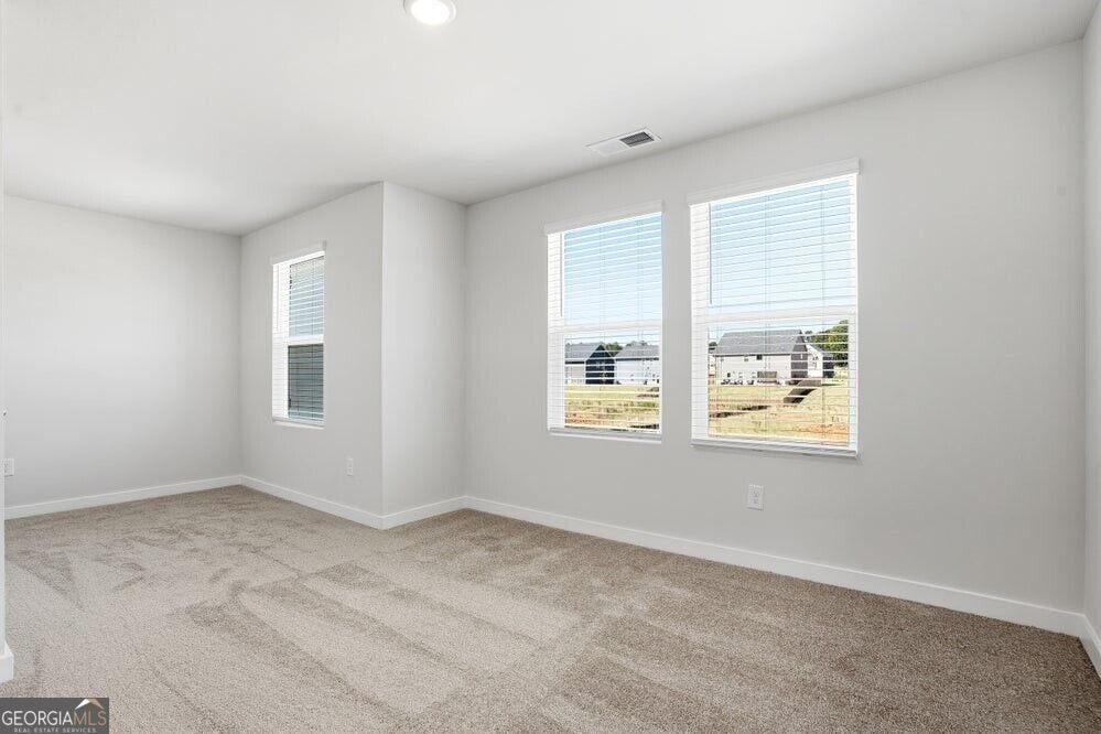 287 Crabapple Street McDonough - Photo 20