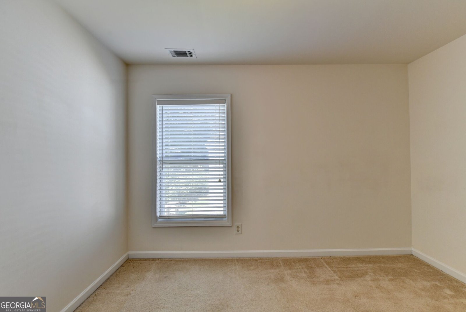 3416 Big Leaf Court Buford - Photo 47