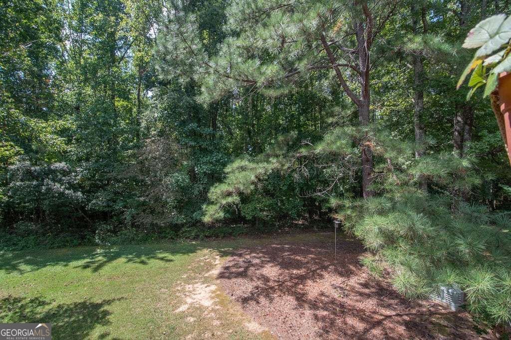 510 Las Brasis Court Peachtree City - Photo 18