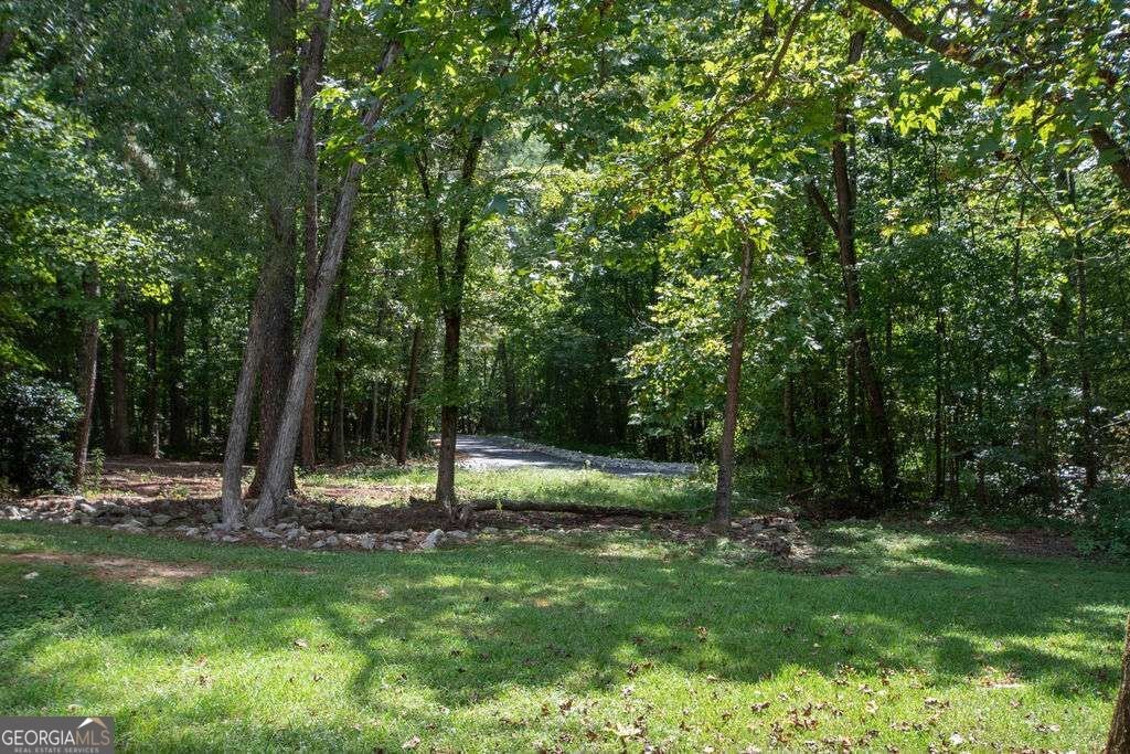 510 Las Brasis Court Peachtree City - Photo 39