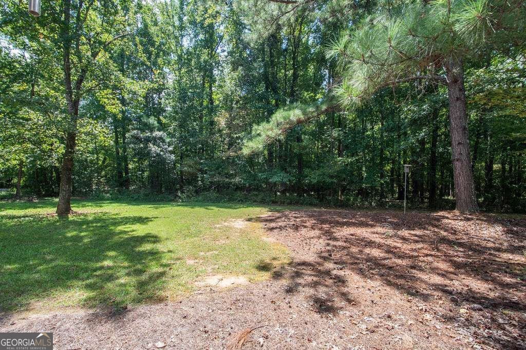 510 Las Brasis Court Peachtree City - Photo 40