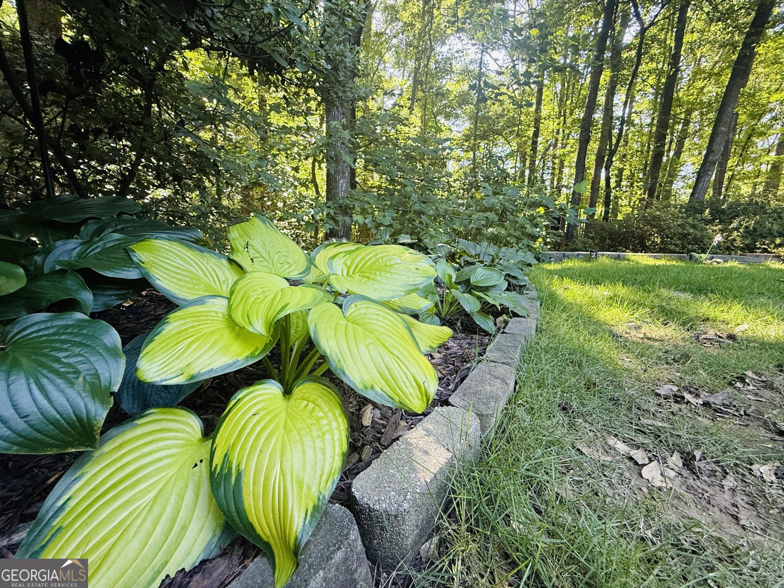412 Taberon Road Peachtree City - Photo 46