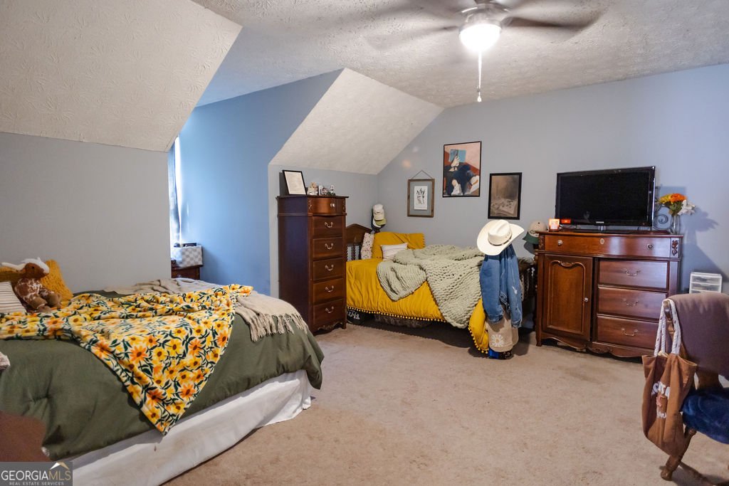 3 Ashley Oaks Lane Newnan - Photo 30