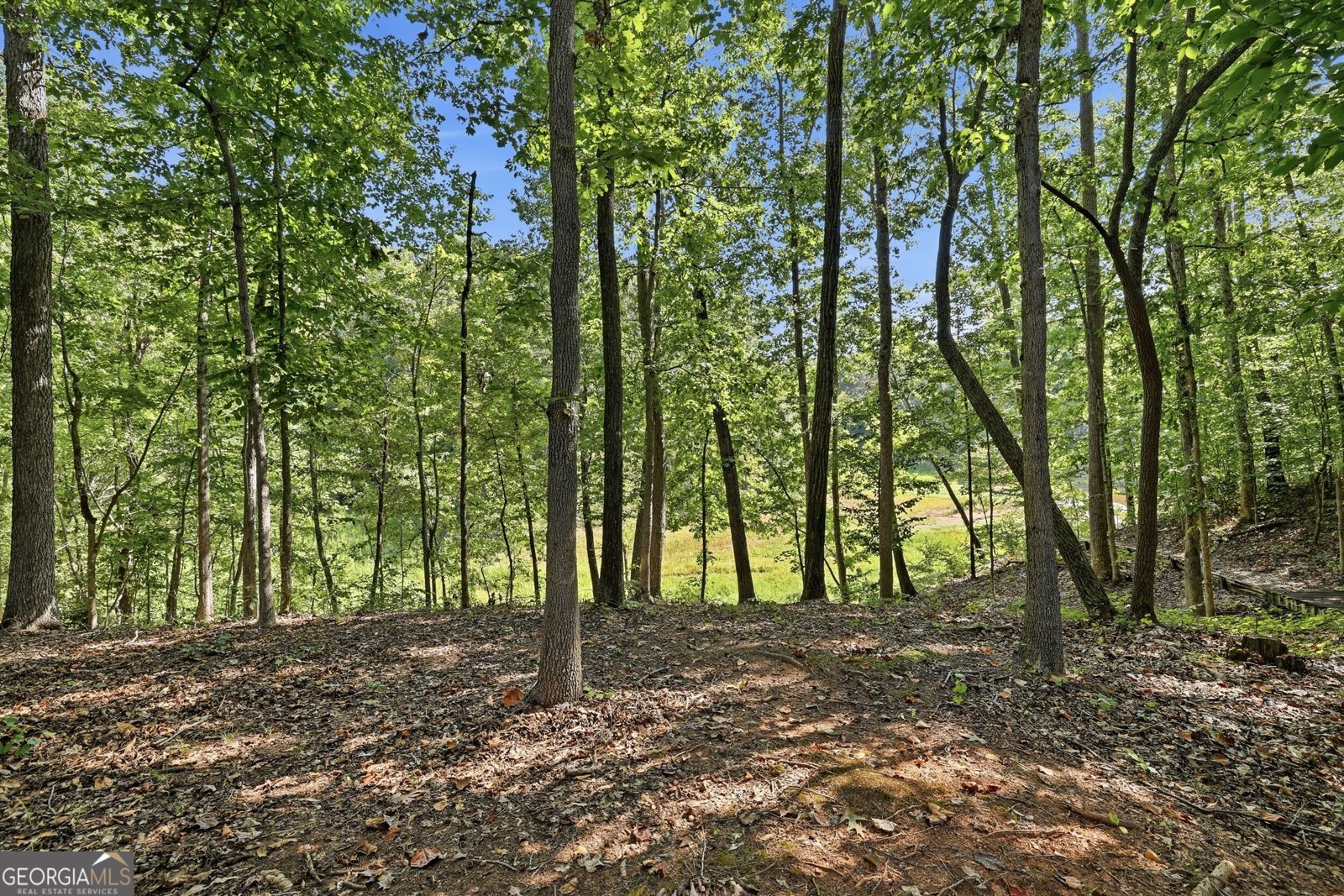 1 Pine Needle Drive Martin - Photo 29