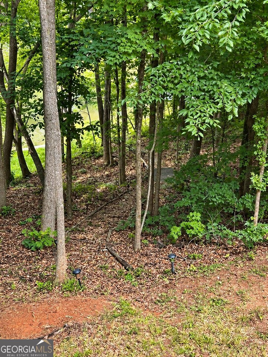 1 Pine Needle Drive Martin - Photo 42