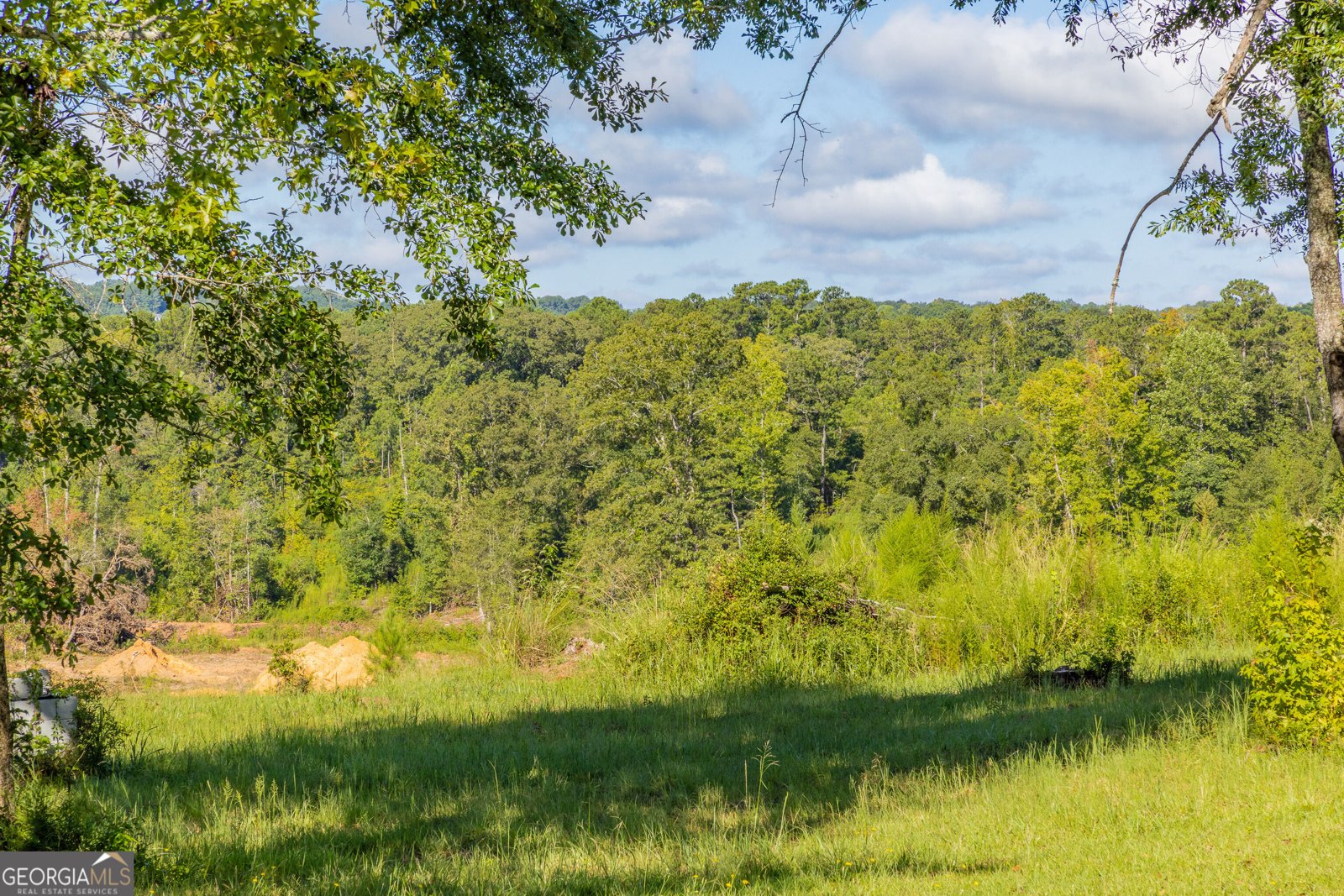 655 White Road Thomaston - Photo 15