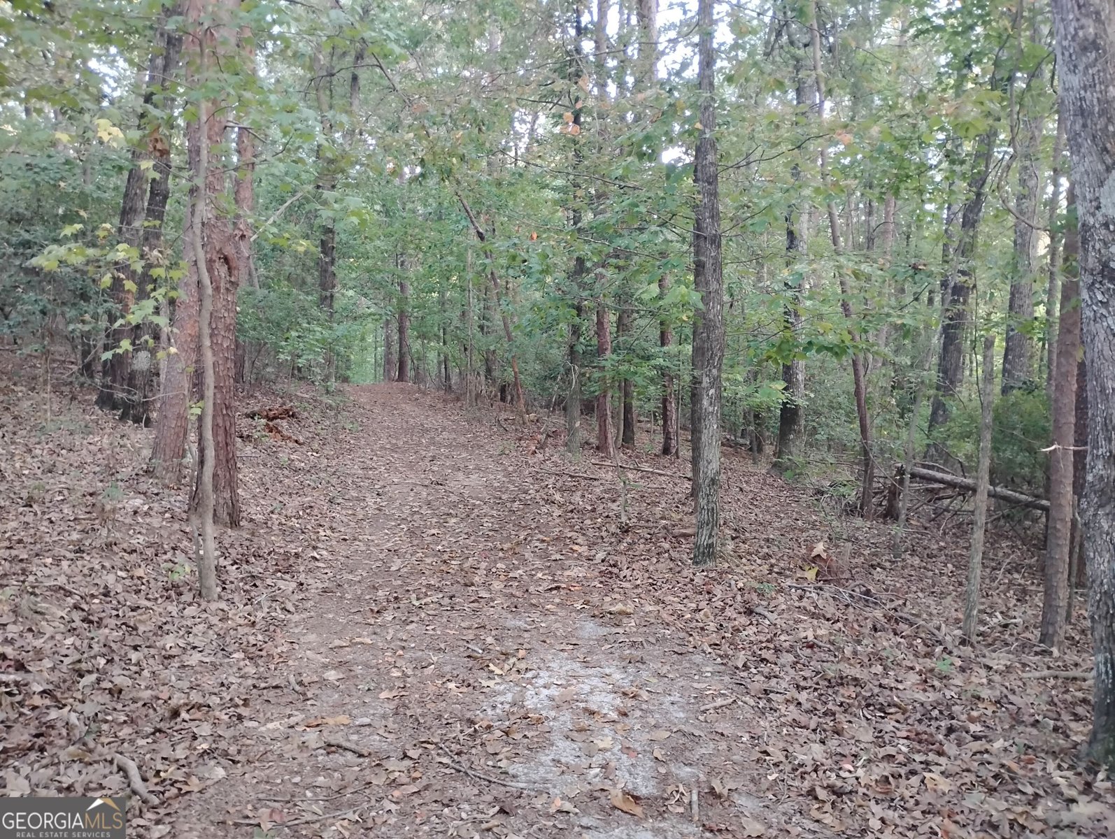 351 Peninsula Drive Anderson - Photo 28