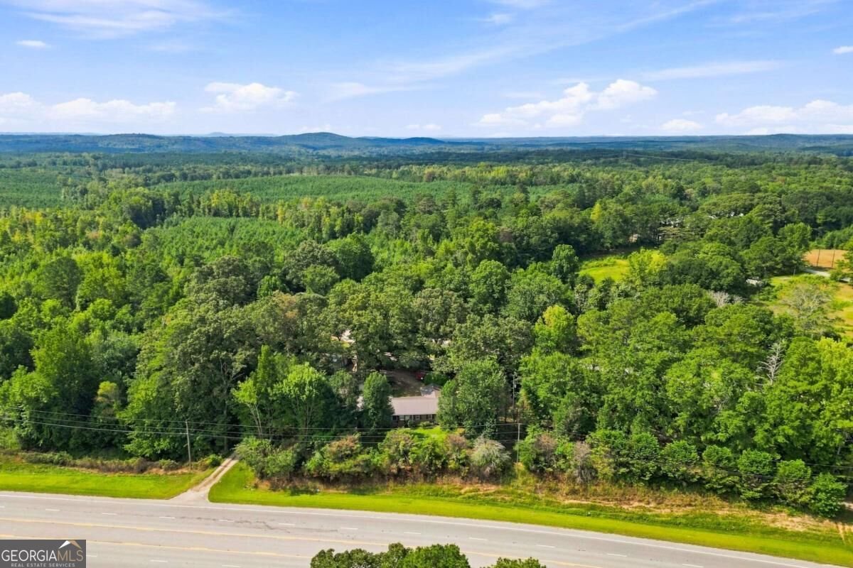 7018 Highway 27 Buchanan - Photo 48
