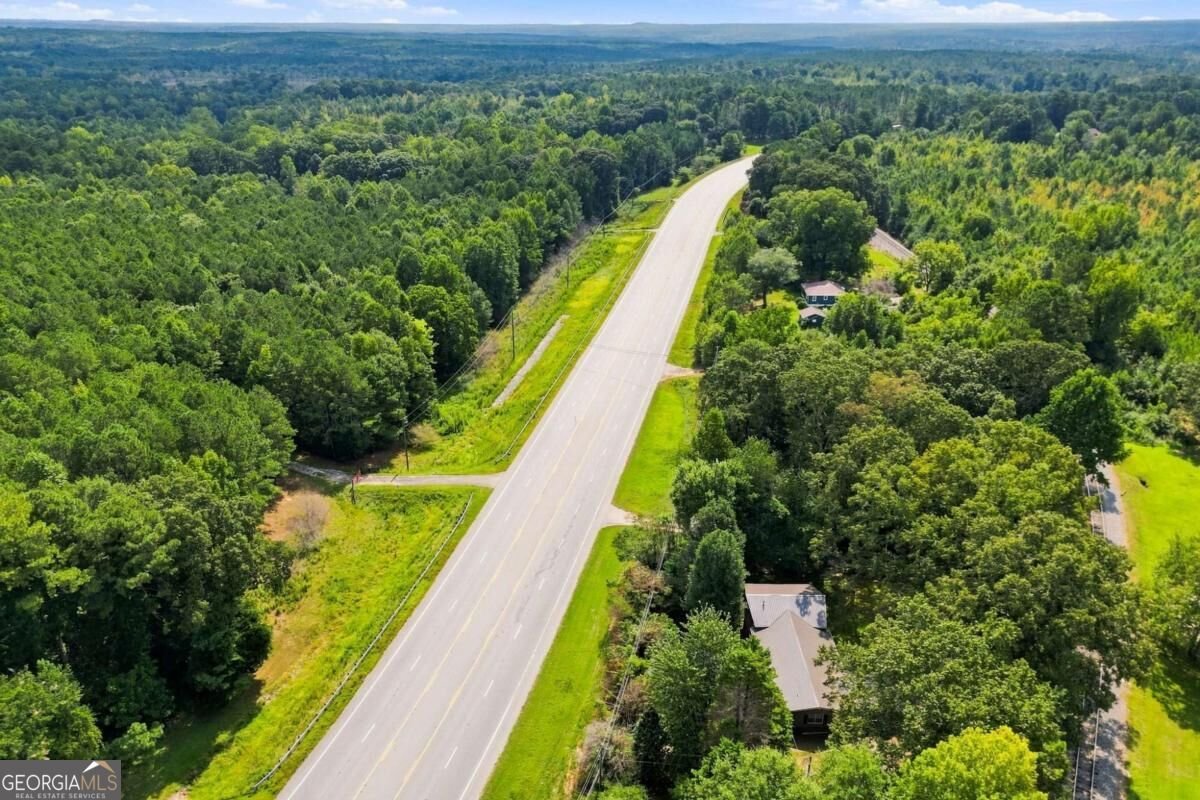 7018 Highway 27 Buchanan - Photo 49