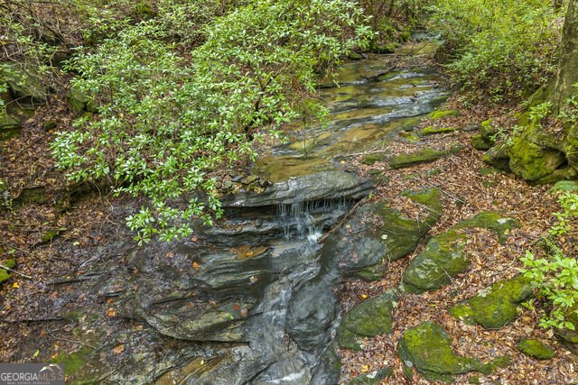3014 Prather Bridge Road Toccoa - Photo 39