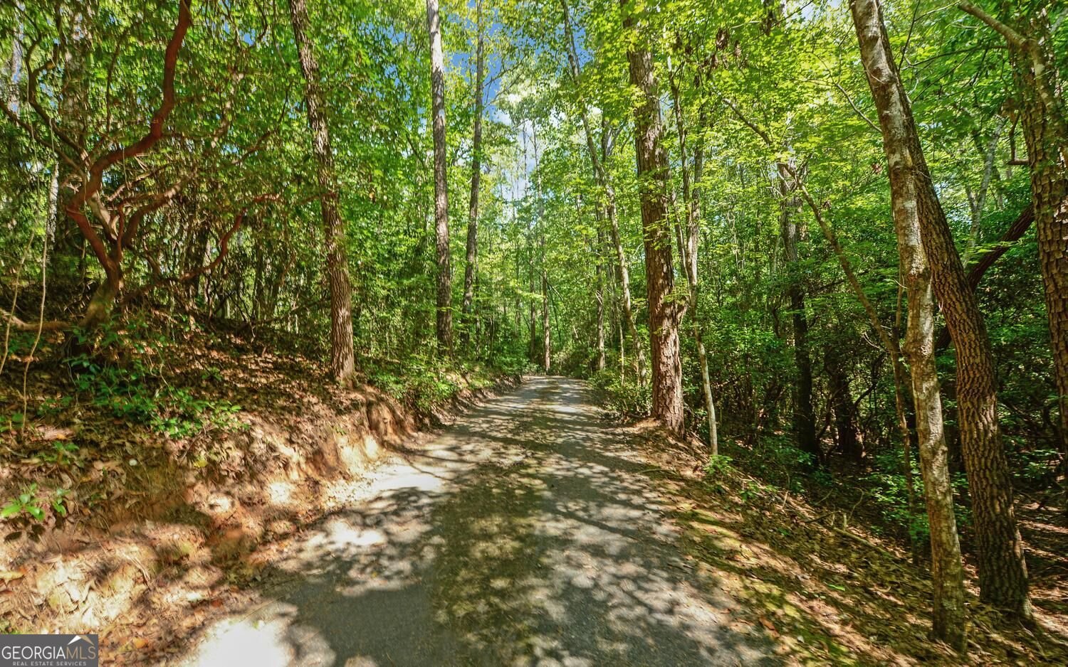 3014 Prather Bridge Road Toccoa - Photo 47