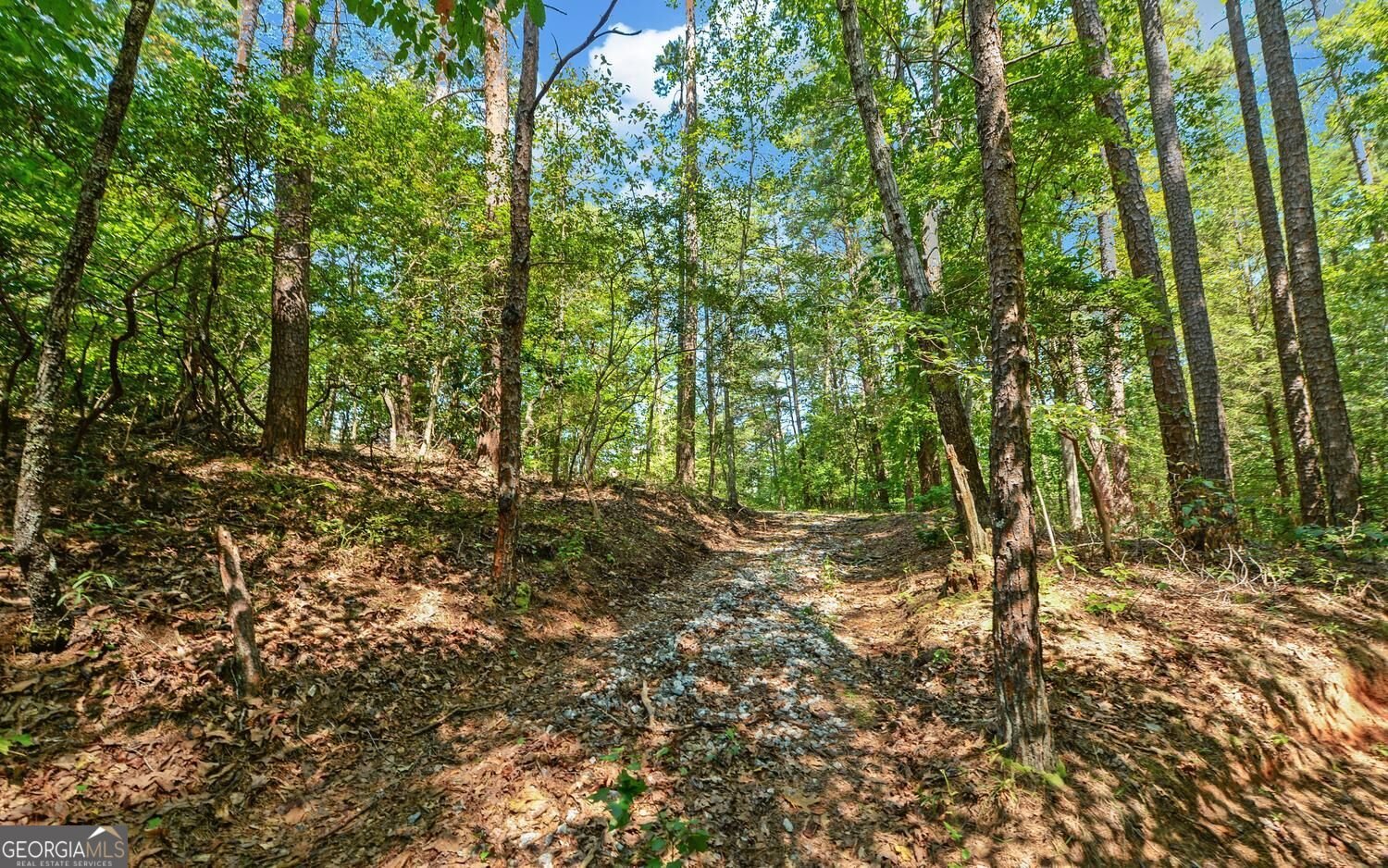 3014 Prather Bridge Road Toccoa - Photo 49