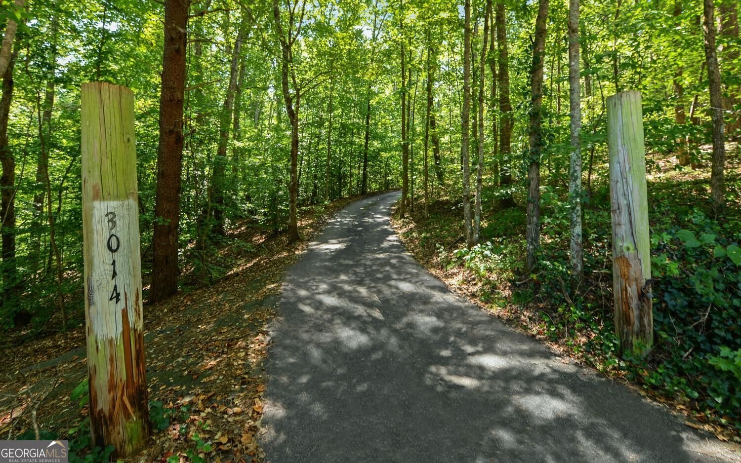3014 Prather Bridge Road Toccoa - Photo 50