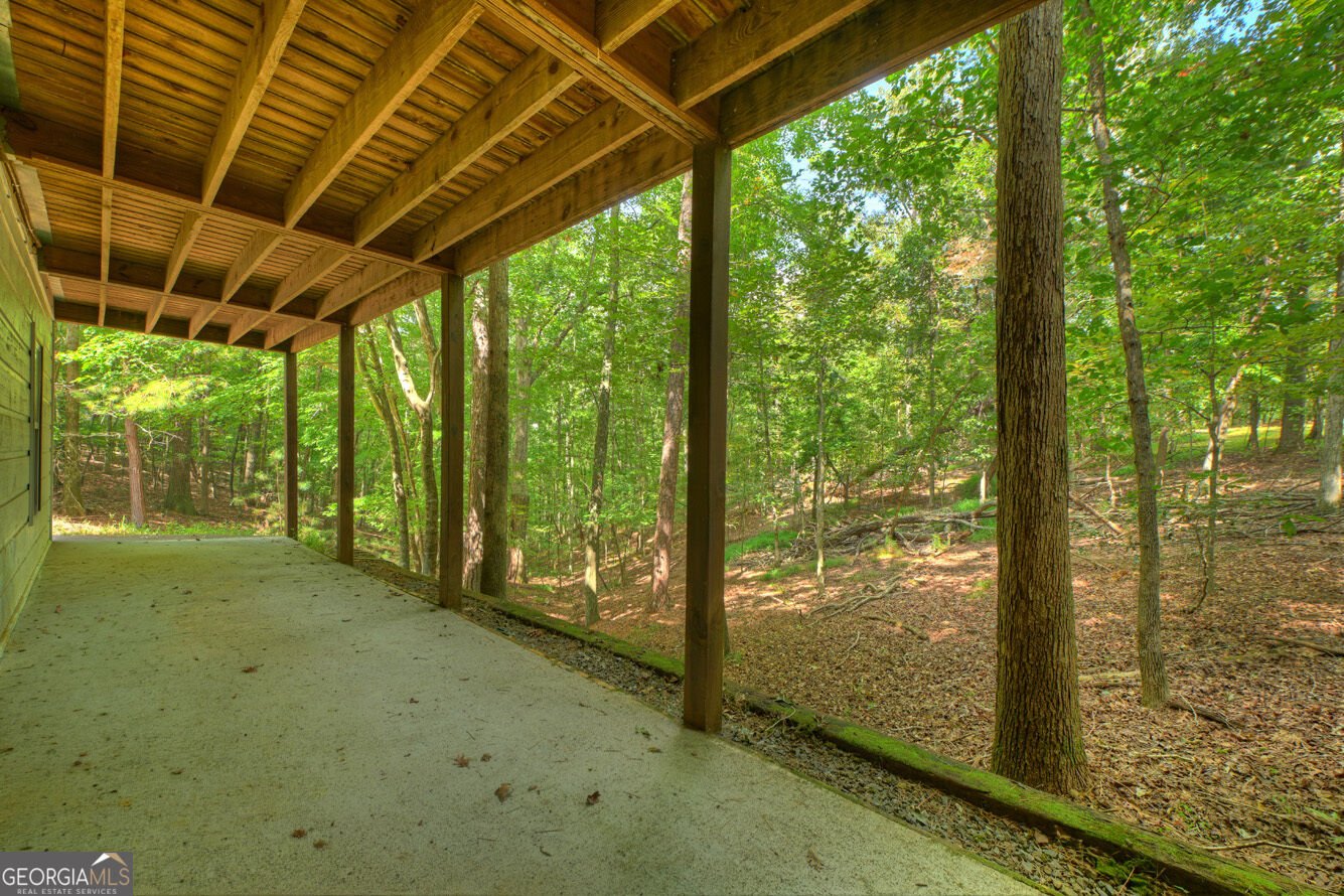14 Orlon Drive Ellijay - Photo 39