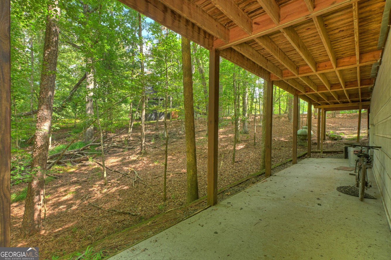 14 Orlon Drive Ellijay - Photo 45