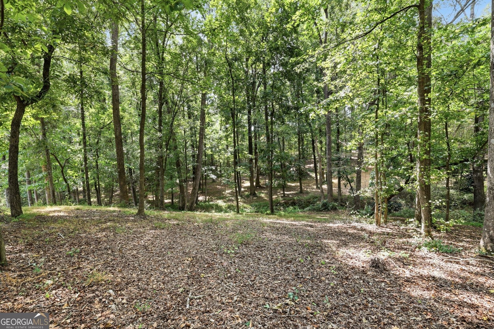 122 Pecan Street Danielsville - Photo 27