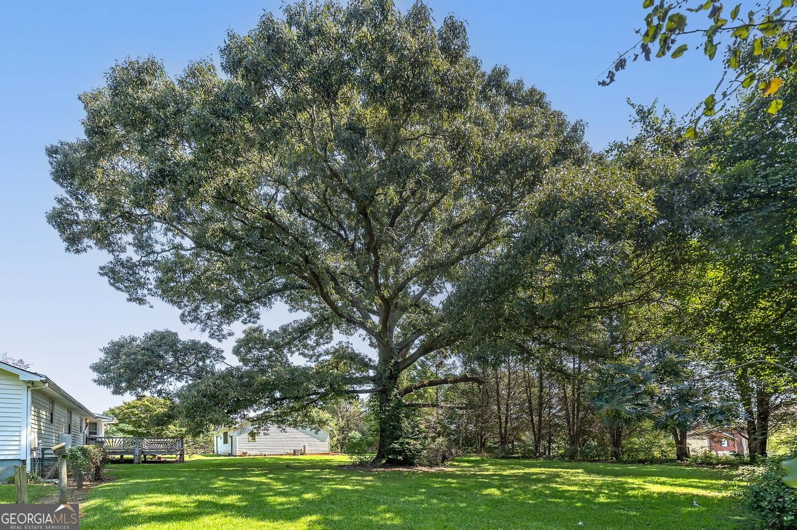 425 Kelly Road McDonough - Photo 35