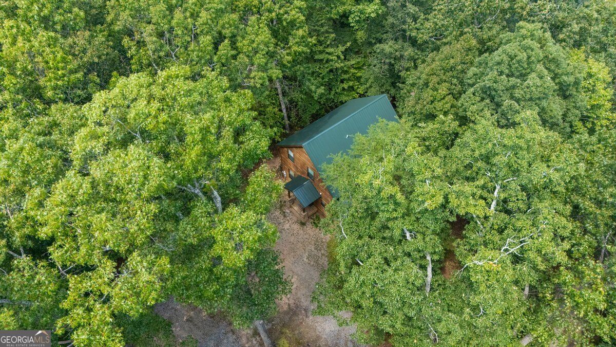 63 Collinsbrook Trail Cleveland - Photo 43