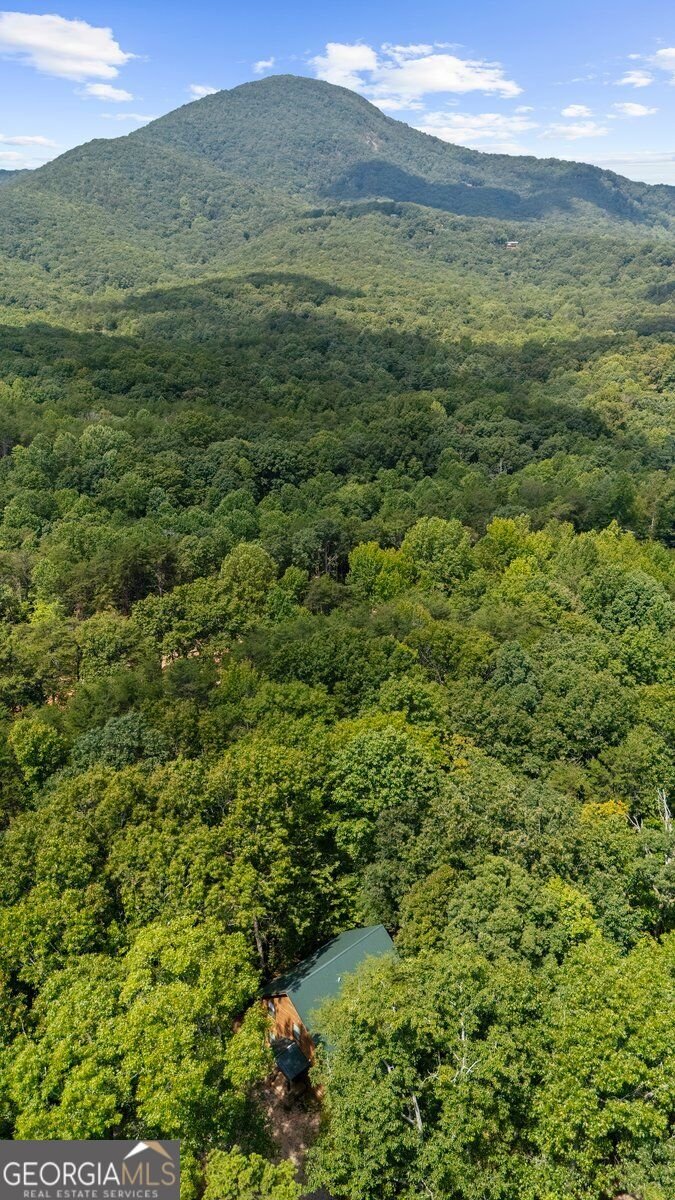 63 Collinsbrook Trail Cleveland - Photo 45