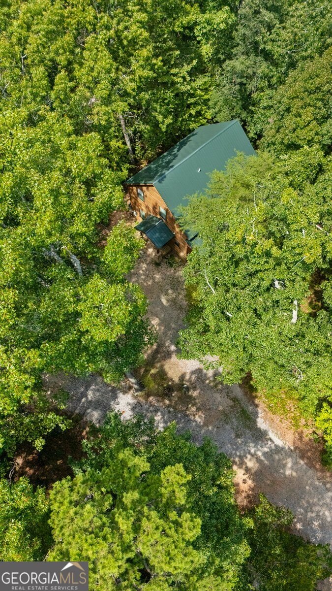 63 Collinsbrook Trail Cleveland - Photo 46