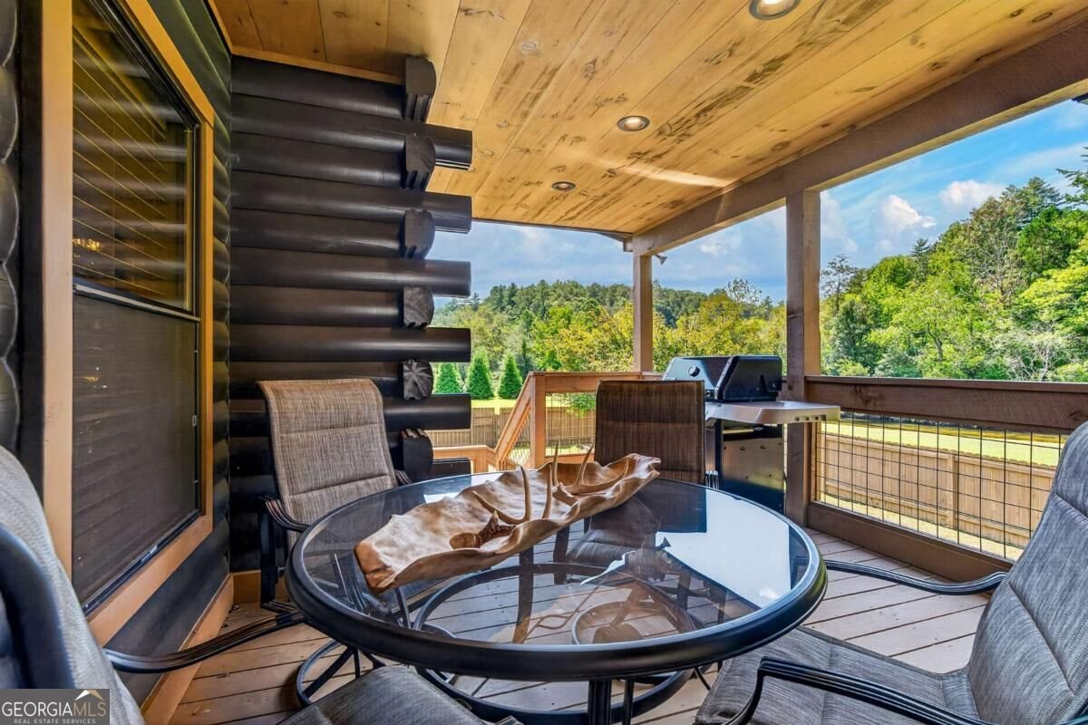 113 Downy Road Blue Ridge - Photo 52