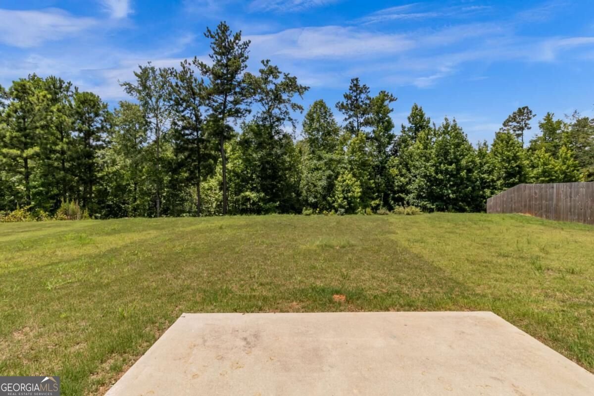 110 Bantry Way Locust Grove - Photo 29