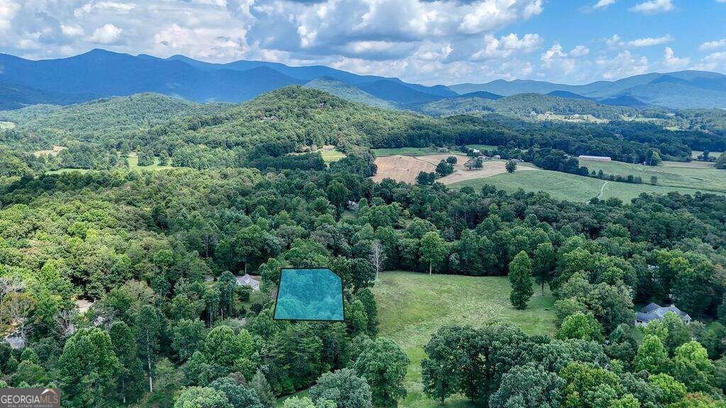 754 Honeysuckle Lane Blairsville - Photo 53