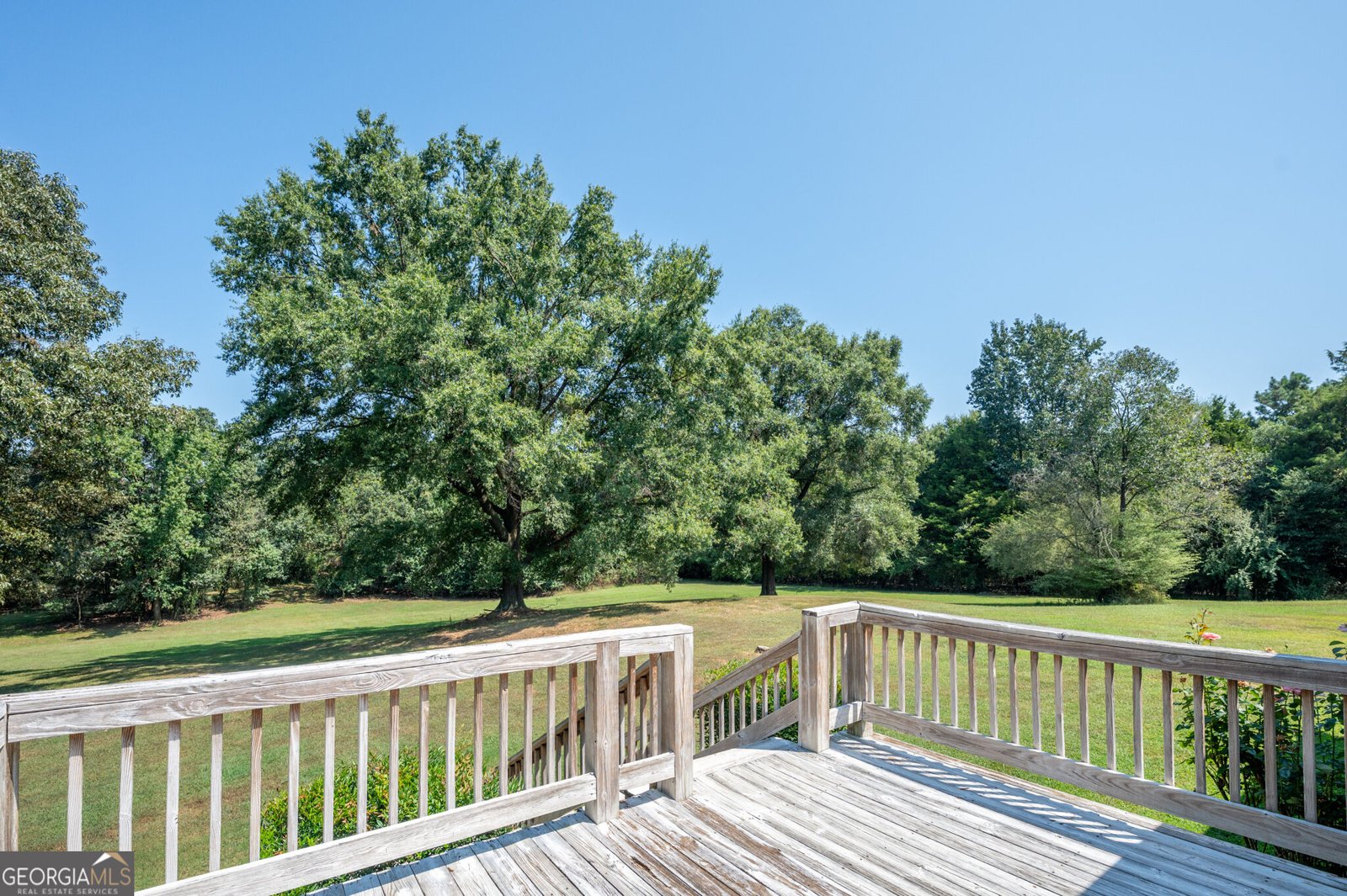 437 Goat Road Resaca - Photo 16