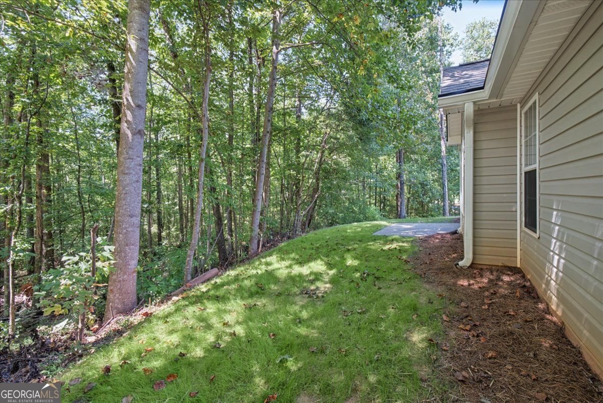 176 Chipper Lane Rockmart - Photo 37