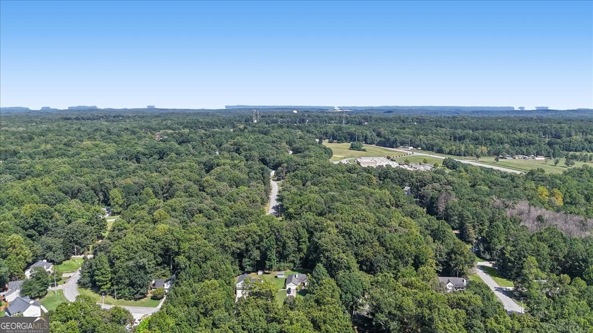 176 Chipper Lane Rockmart - Photo 40