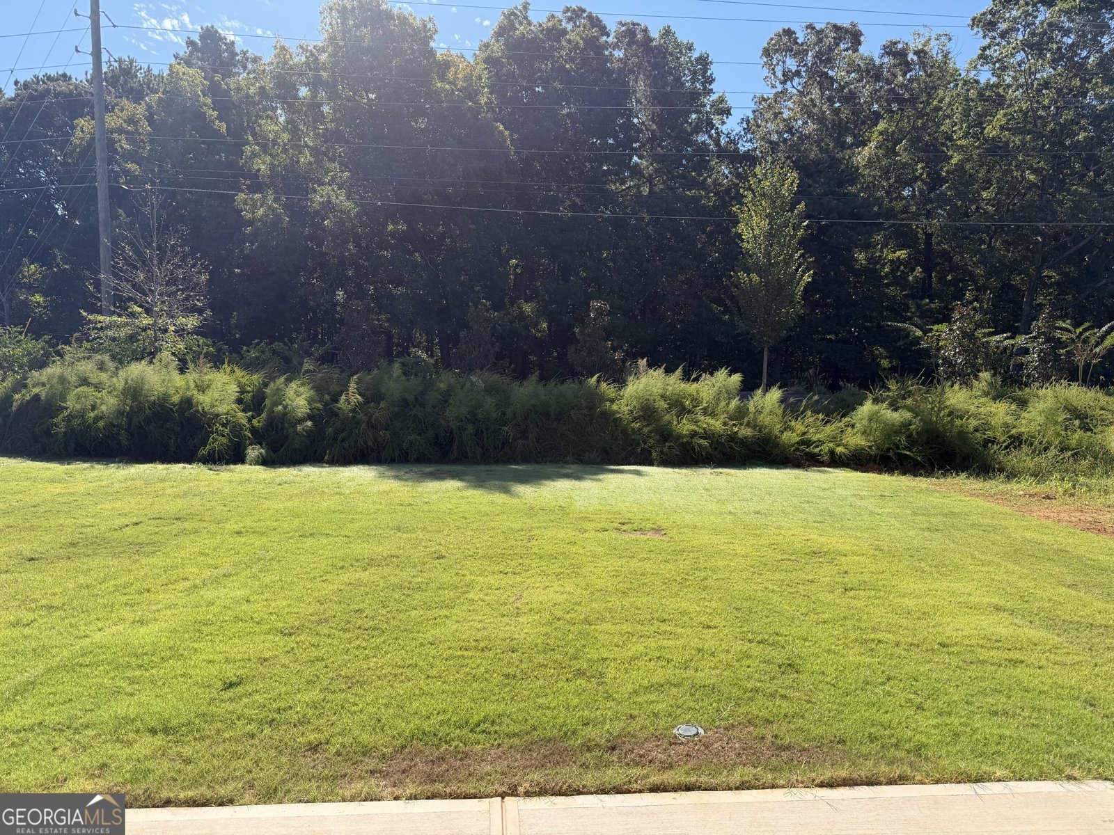 8137 Pine Ridge Road South Fulton - Photo 24
