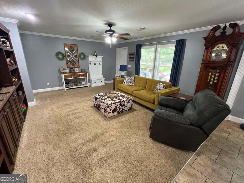9400 Ga Highway 24 Statesboro - Photo 6