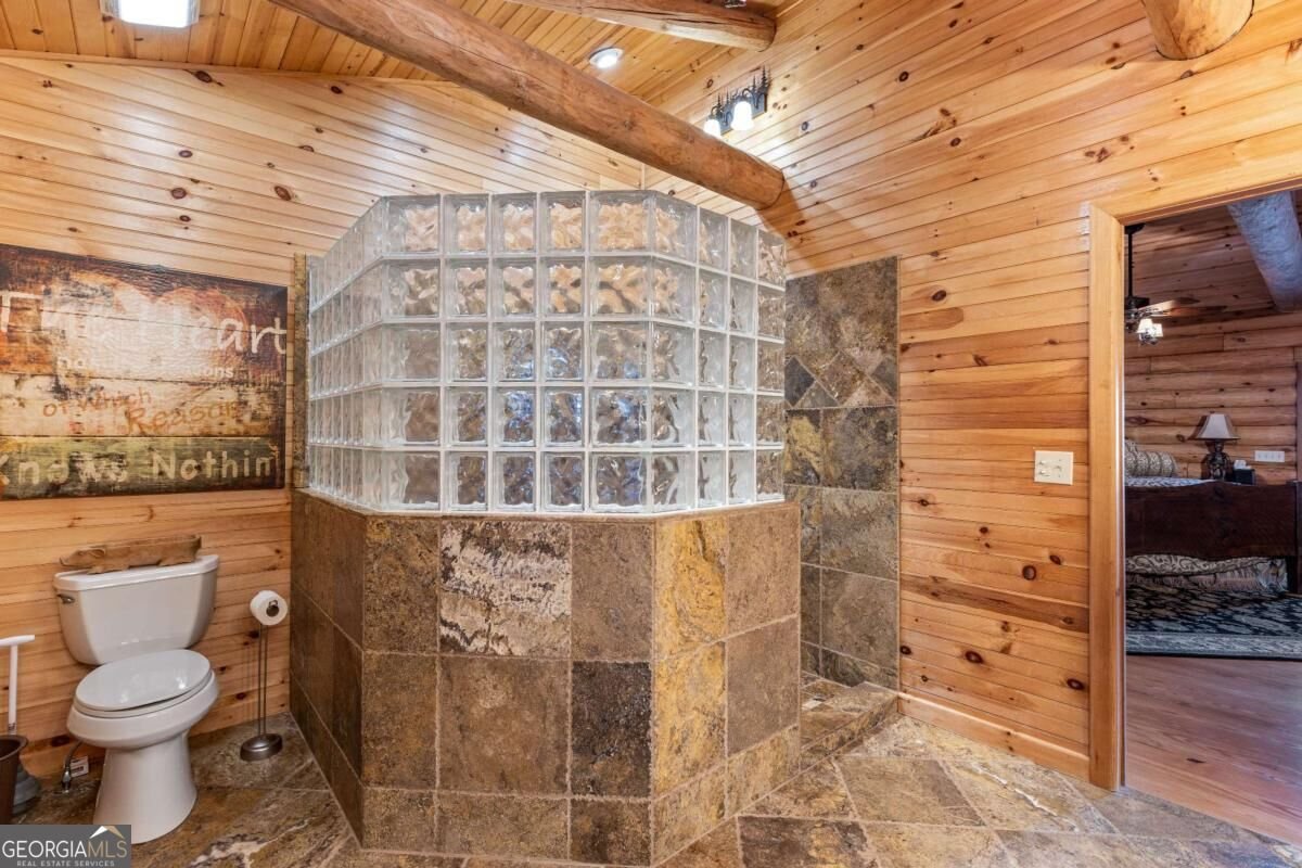 260 Observation Lane Blue Ridge - Photo 20
