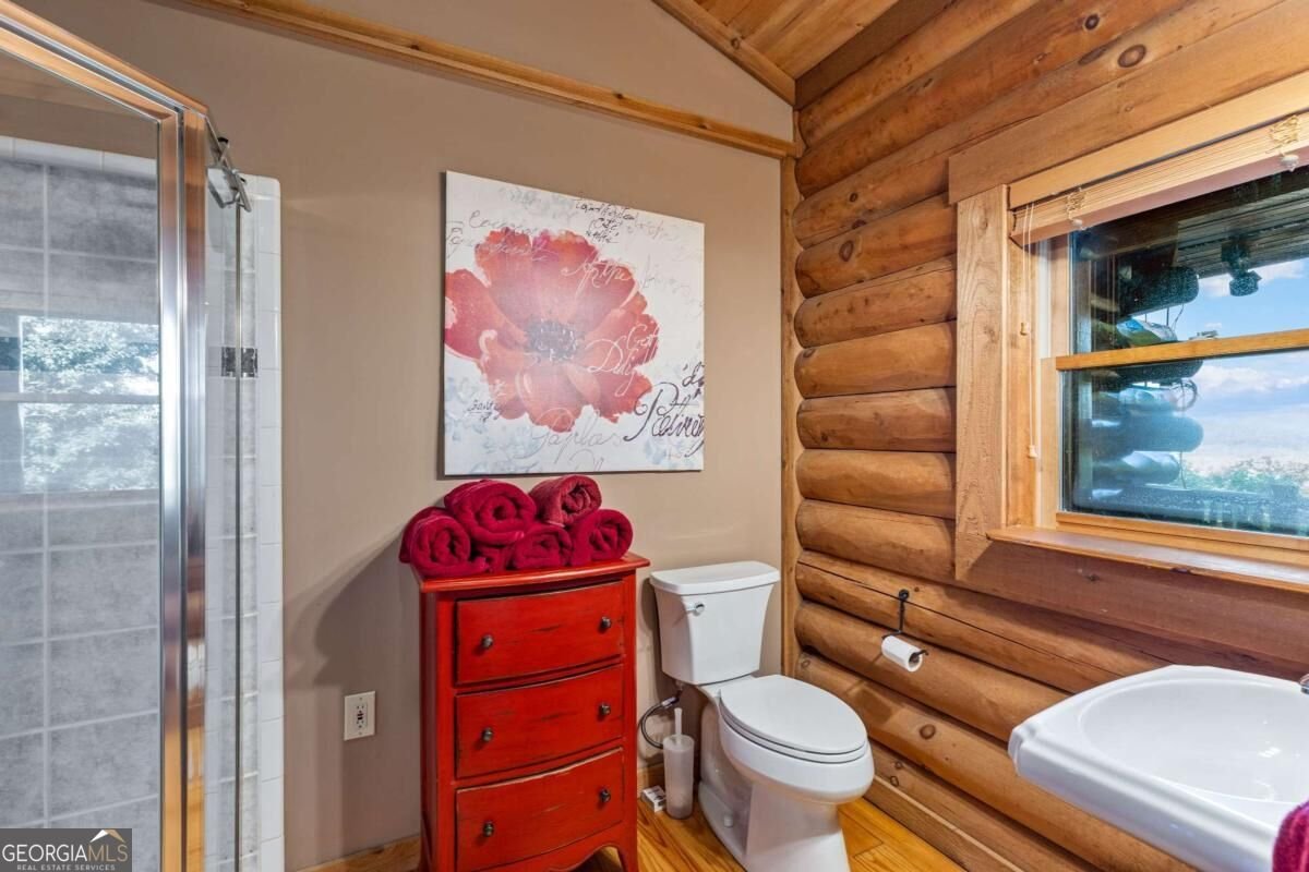 260 Observation Lane Blue Ridge - Photo 26