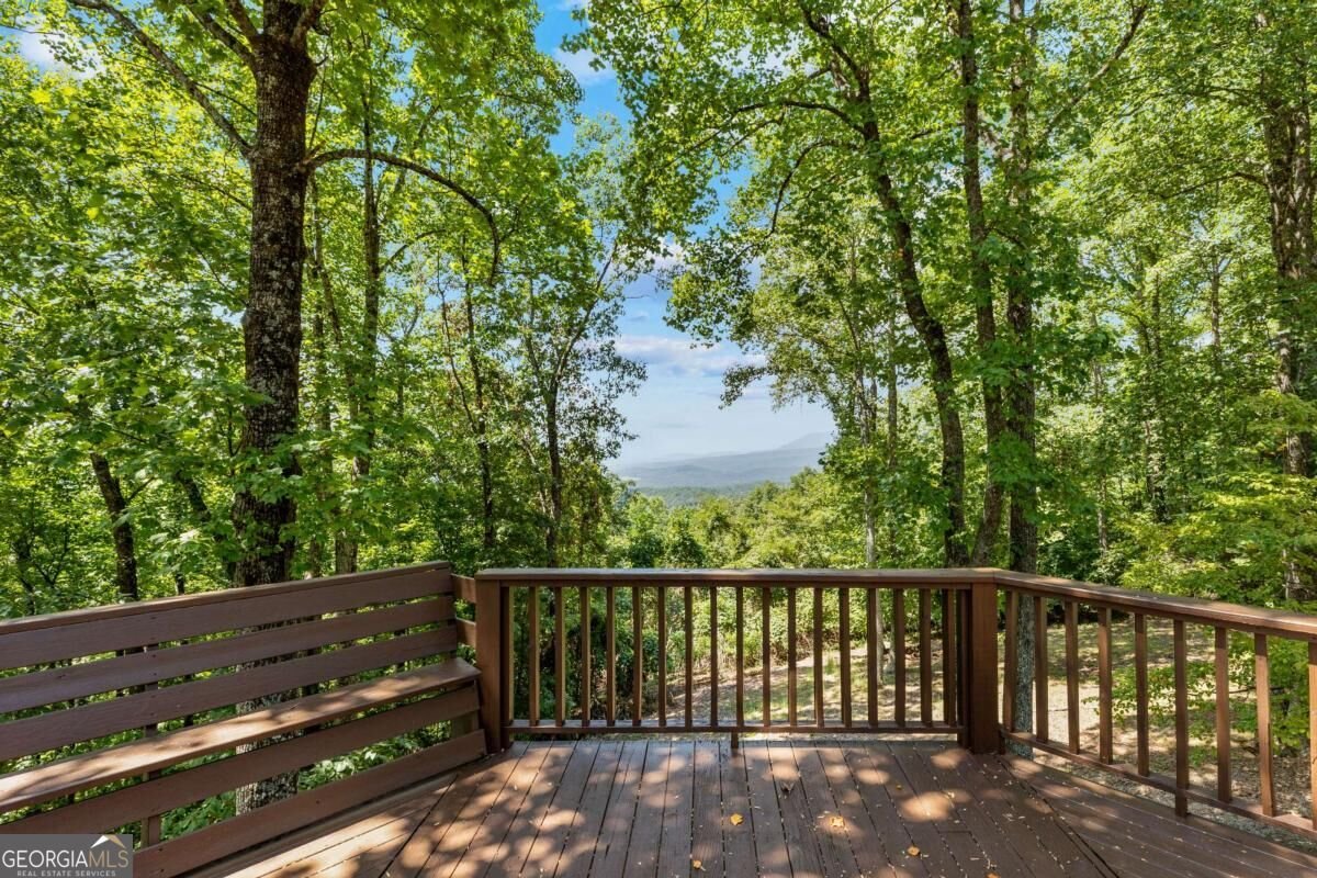 260 Observation Lane Blue Ridge - Photo 36
