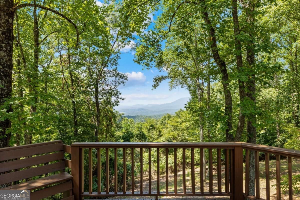 260 Observation Lane Blue Ridge - Photo 37