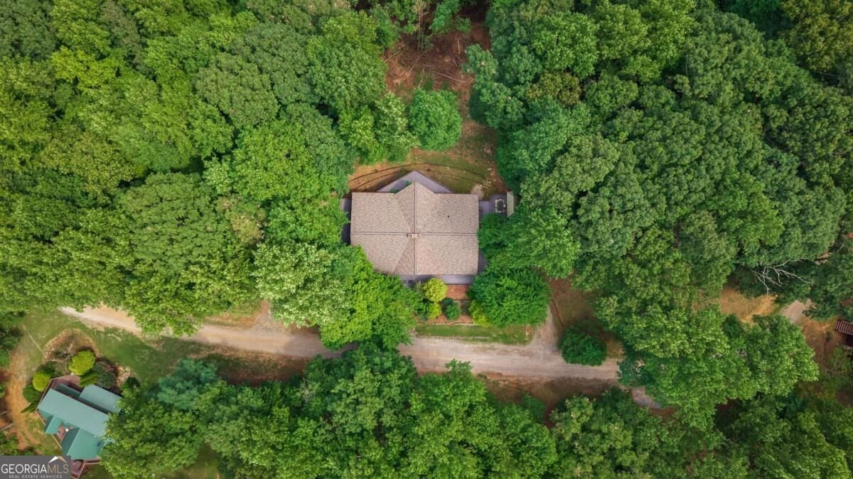 260 Observation Lane Blue Ridge - Photo 45